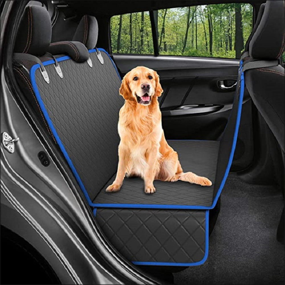 Pet Accessories