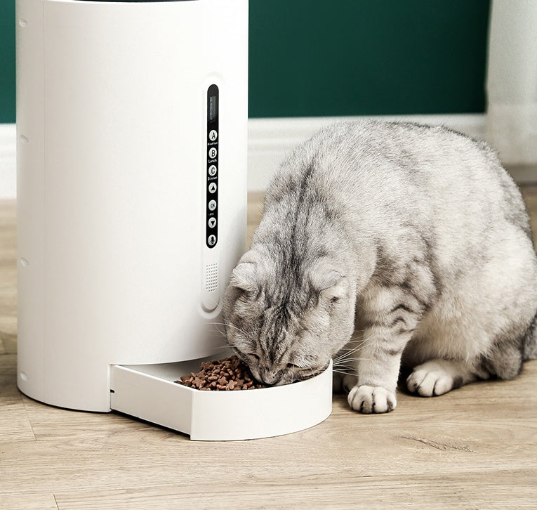 Timed Automatic Pet Feeder