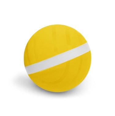 Interactive Smart Pet Toy Ball
