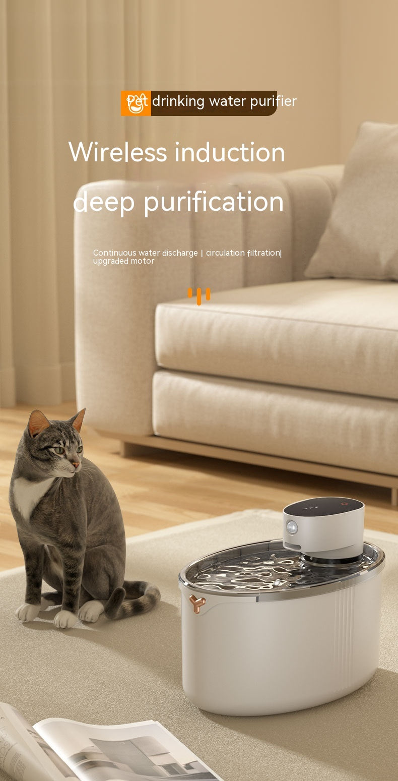 Cordless Cat Water Fountain