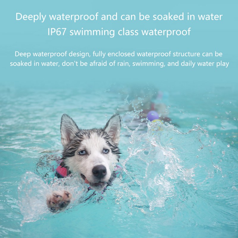 GPS Smart Pet Tracker & Locator | Real-Time Tracking | NaturePawPlay