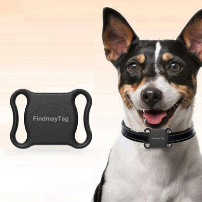 Lightweight Smart GPS Locator for Cats & Dogs - Real-Time Pet Tracking - NaturePawPlay