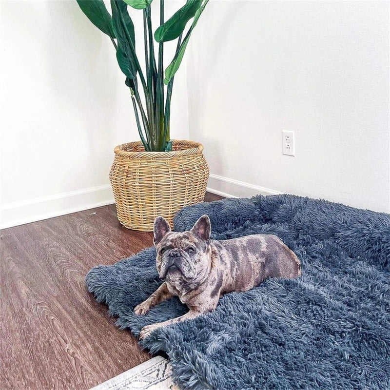 Calming Orthopedic Dog Bed | Washable Anti-Anxiety Pet Sofa