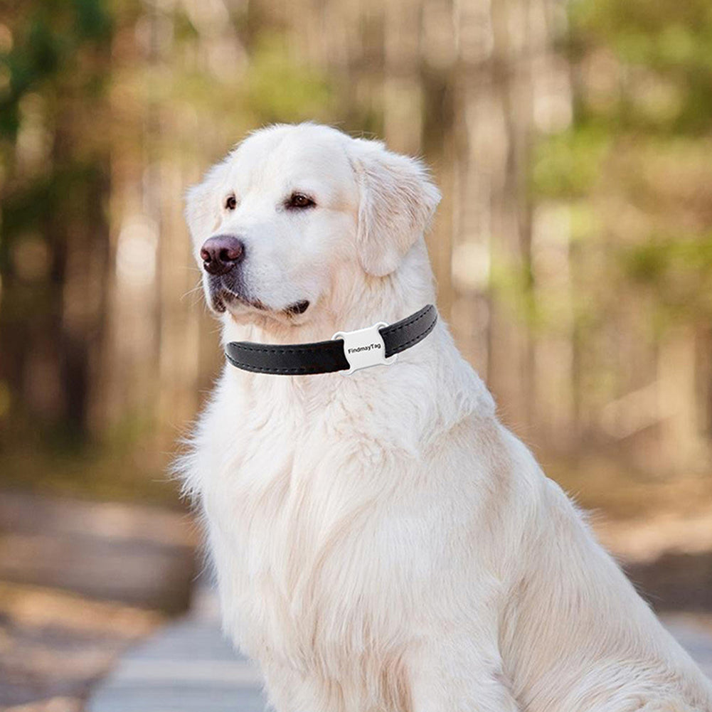 Smart Pet Locator Tag with Silicone Collar Holder